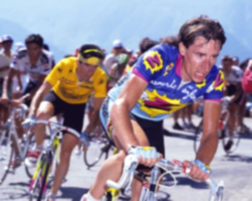 ROBERT MILLAR (PHILIPPA YORK)