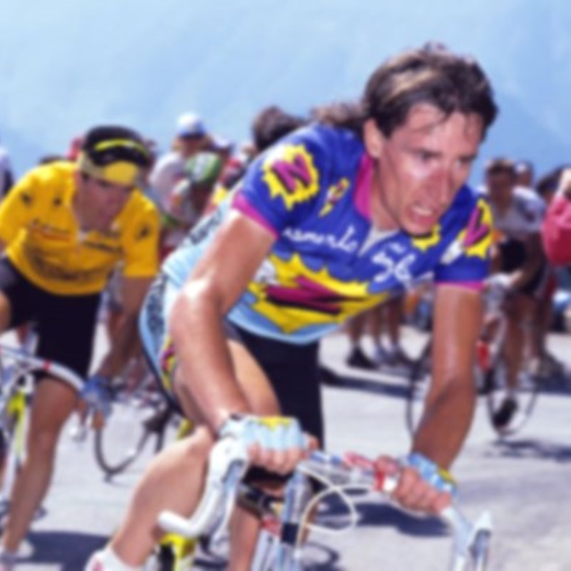 ROBERT MILLAR (PHILIPPA YORK)